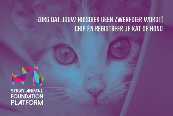 Wereld Zwerfdierendag 2019 Wereld Zwerfdierendag 2019
